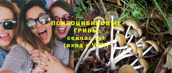 бутират Лагань