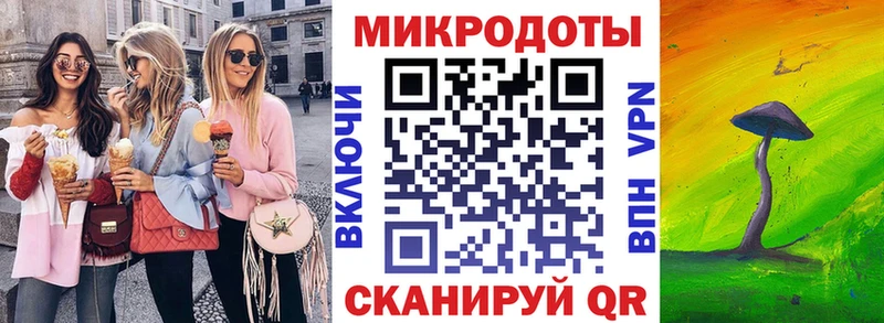 Купить  Курчатов  Галлюциногенные грибы Psilocybe 